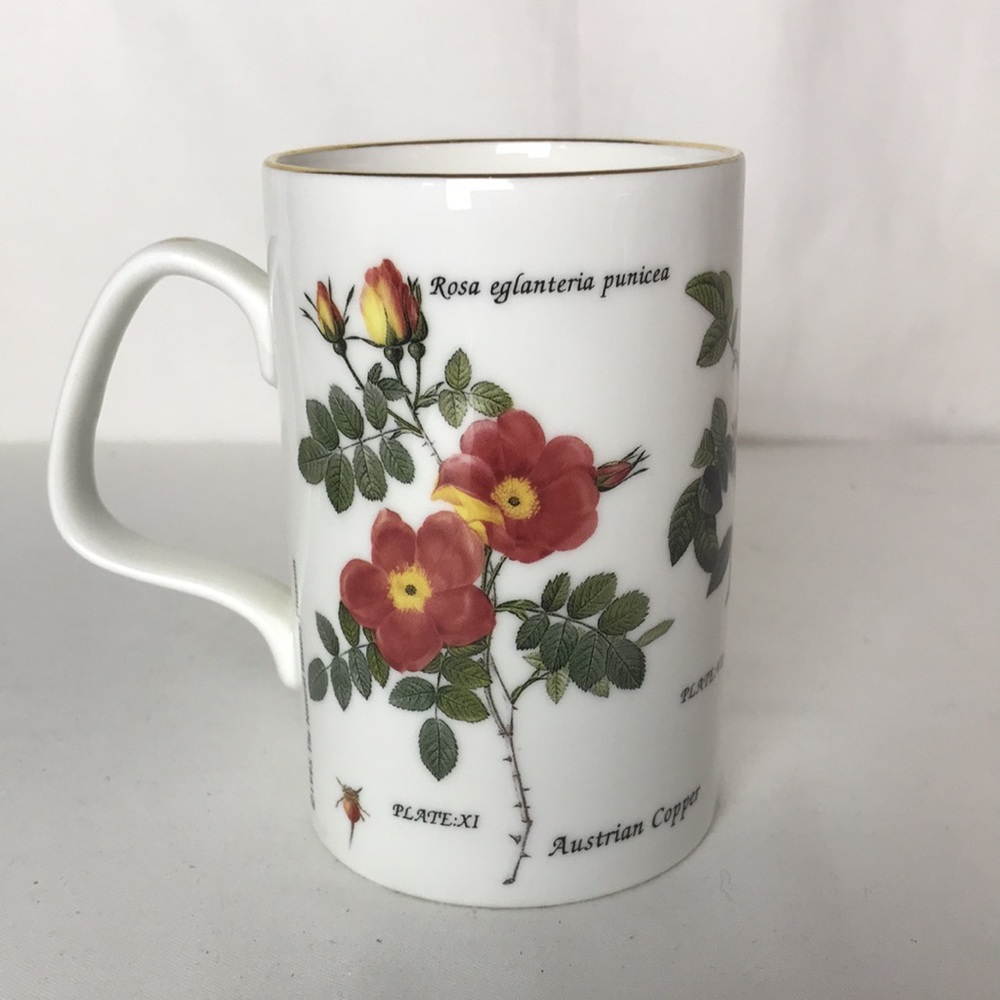 Staffordshire Tableware Natural history museum mug , floral print